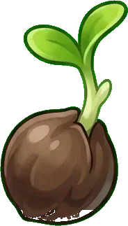 Kuşkonmaz: Tohum