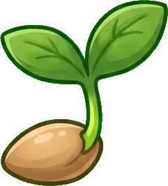 Papatya: Tohum