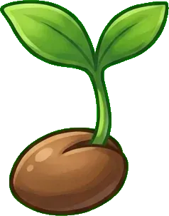 Lilyum: Tohum
