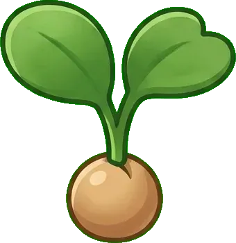 Turp: Tohum